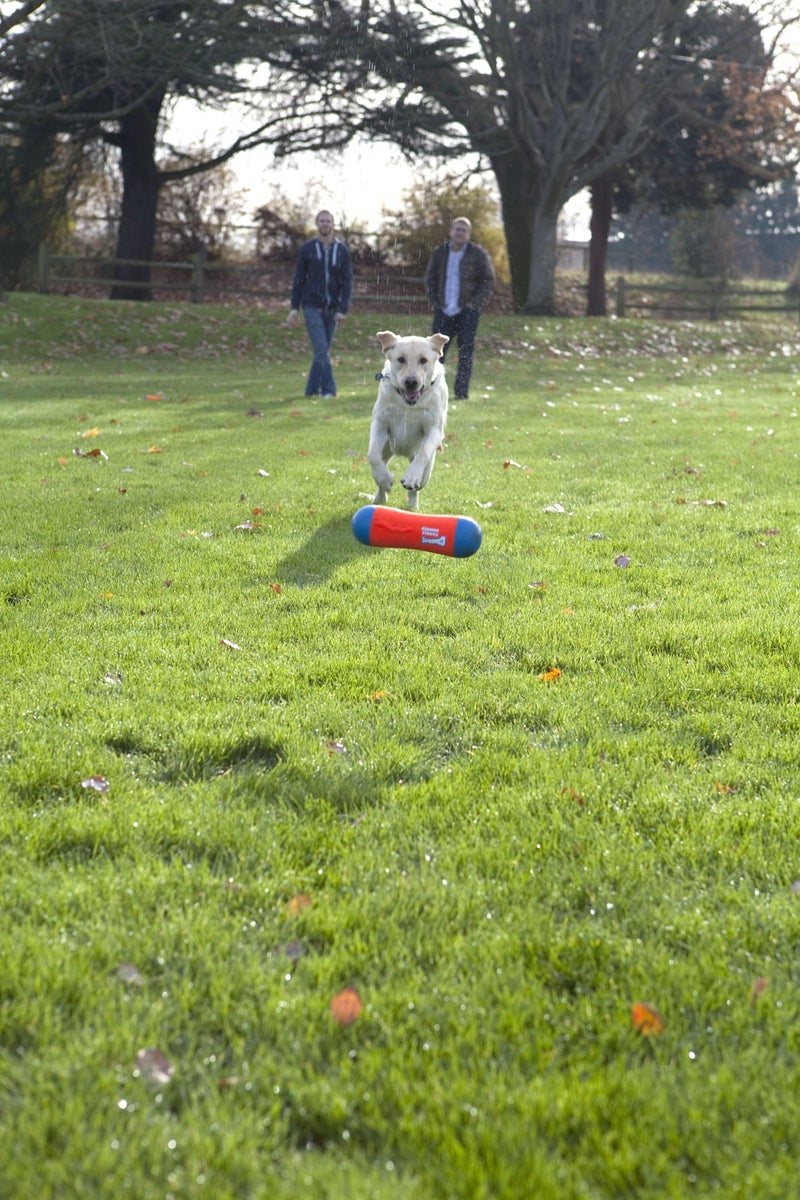 ChuckIt! Tumble Bumper Dog Toy, Medium - Image 4
